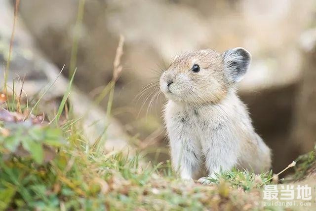 如何提高出片率？这 4 种相机设置要调好-4.jpg