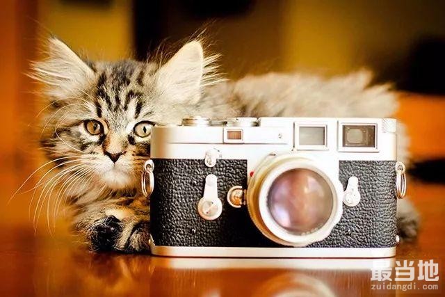 如何提高出片率？这 4 种相机设置要调好-1.jpg