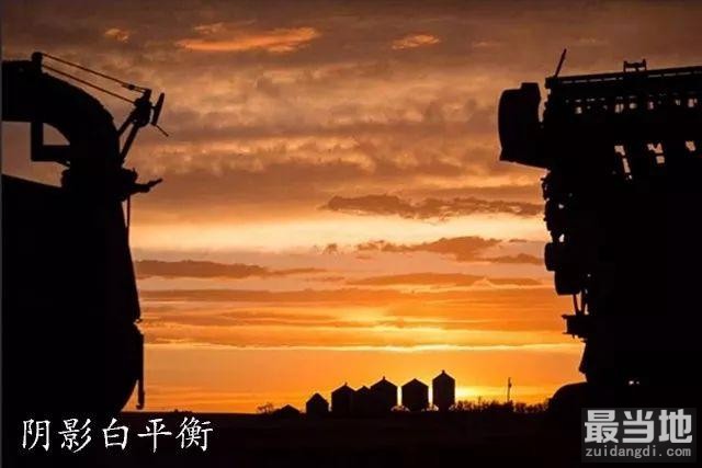 如何提高出片率？这 4 种相机设置要调好-7.jpg