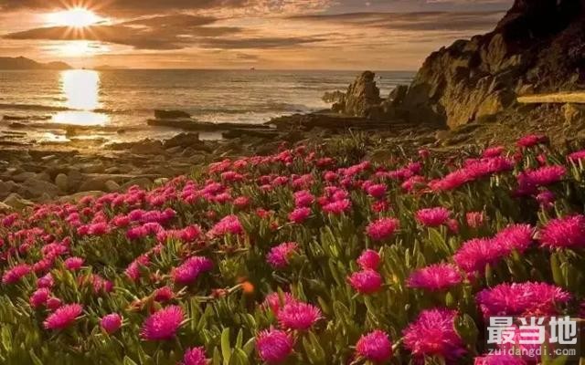 拍日落的6 大构图套路，你最喜欢哪一个？-13.jpg