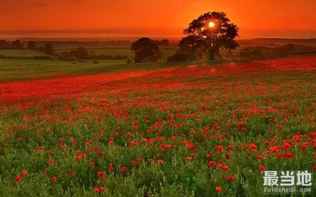 拍日落的6 大构图套路，你最喜欢哪一个？-12.jpg