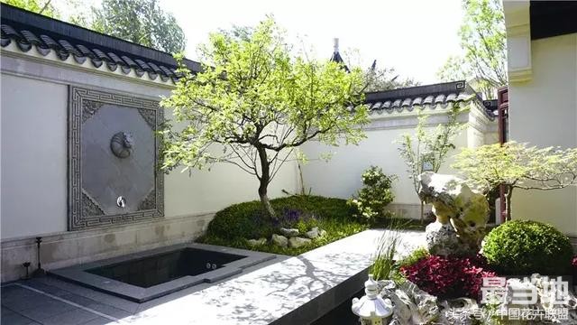 我是金银花 我的功能仅药用？还有景观用-4.jpg