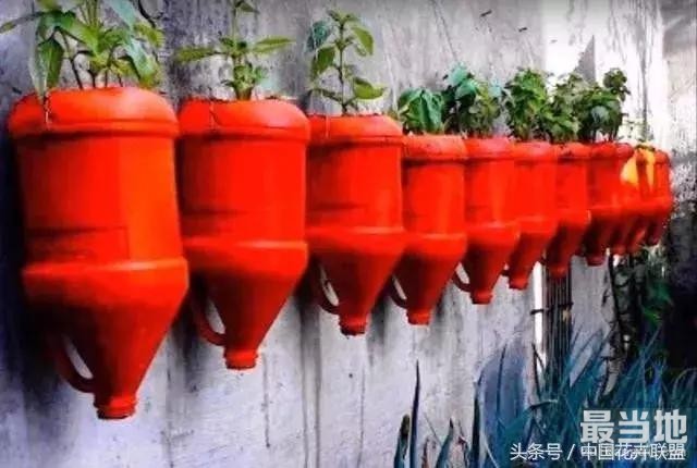 塑料瓶用的对，绝对是养花神器！-31.jpg