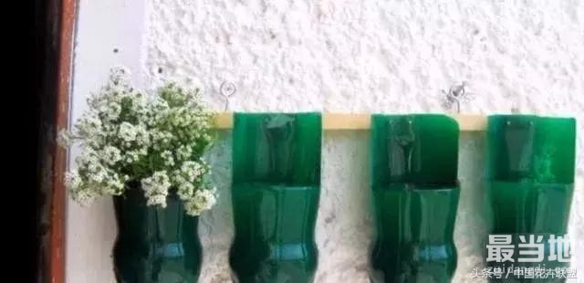 塑料瓶用的对，绝对是养花神器！-32.jpg