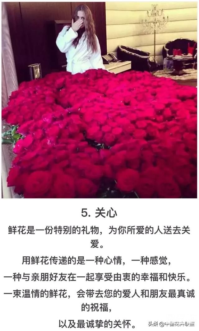情人节为什么送花，告诉你五个理由-13.jpg