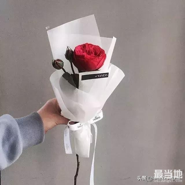 情人节为什么送花，告诉你五个理由-16.jpg