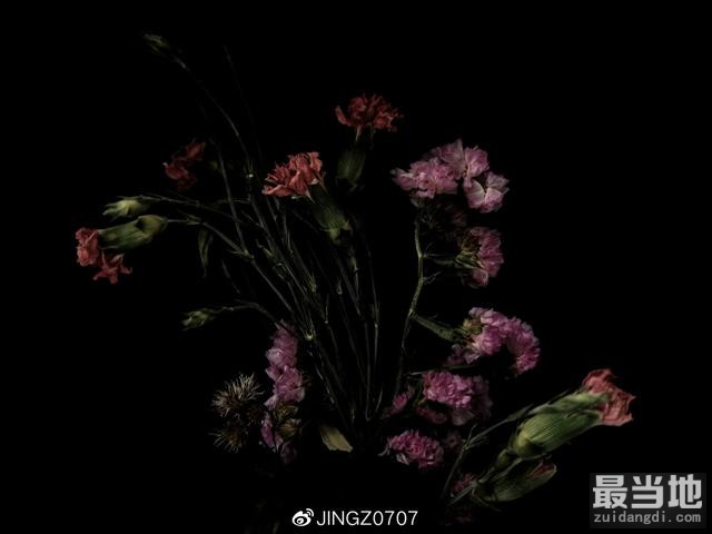 普通环境中手机拍出商业大片感的枯花照-1.jpg