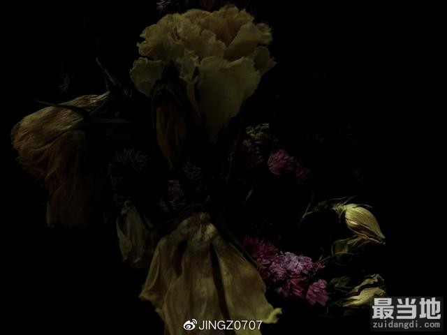 普通环境中手机拍出商业大片感的枯花照-4.jpg