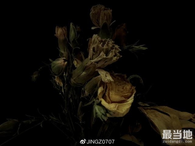 普通环境中手机拍出商业大片感的枯花照-3.jpg
