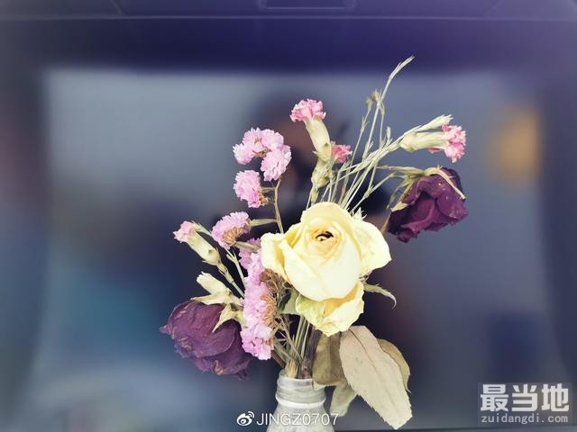 普通环境中手机拍出商业大片感的枯花照-6.jpg