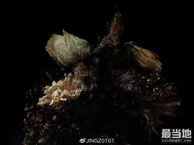普通环境中手机拍出商业大片感的枯花照-5.jpg