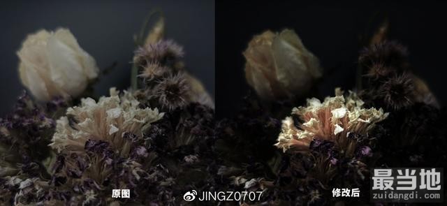 普通环境中手机拍出商业大片感的枯花照-11.jpg