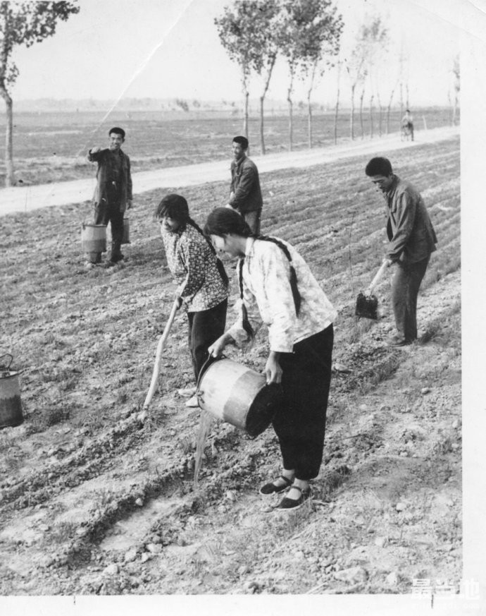 老照片：70年代人民公社生产生活-7.jpg