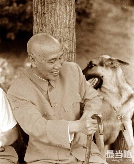 老照片：蒋介石晚年生活，在孙子们的陪伴下遛狗-8.jpg