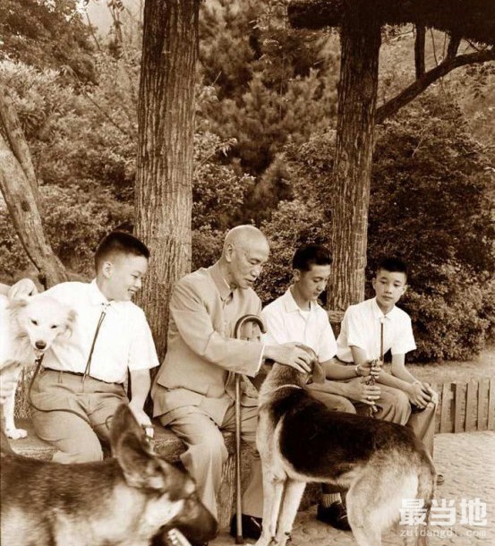 老照片：蒋介石晚年生活，在孙子们的陪伴下遛狗-6.jpg