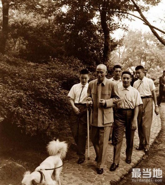 老照片：蒋介石晚年生活，在孙子们的陪伴下遛狗-7.jpg