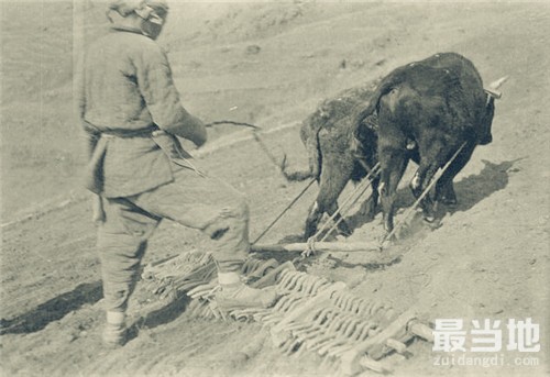 老照片：直击1917年时期中国各地百姓的生活实况-8.jpg