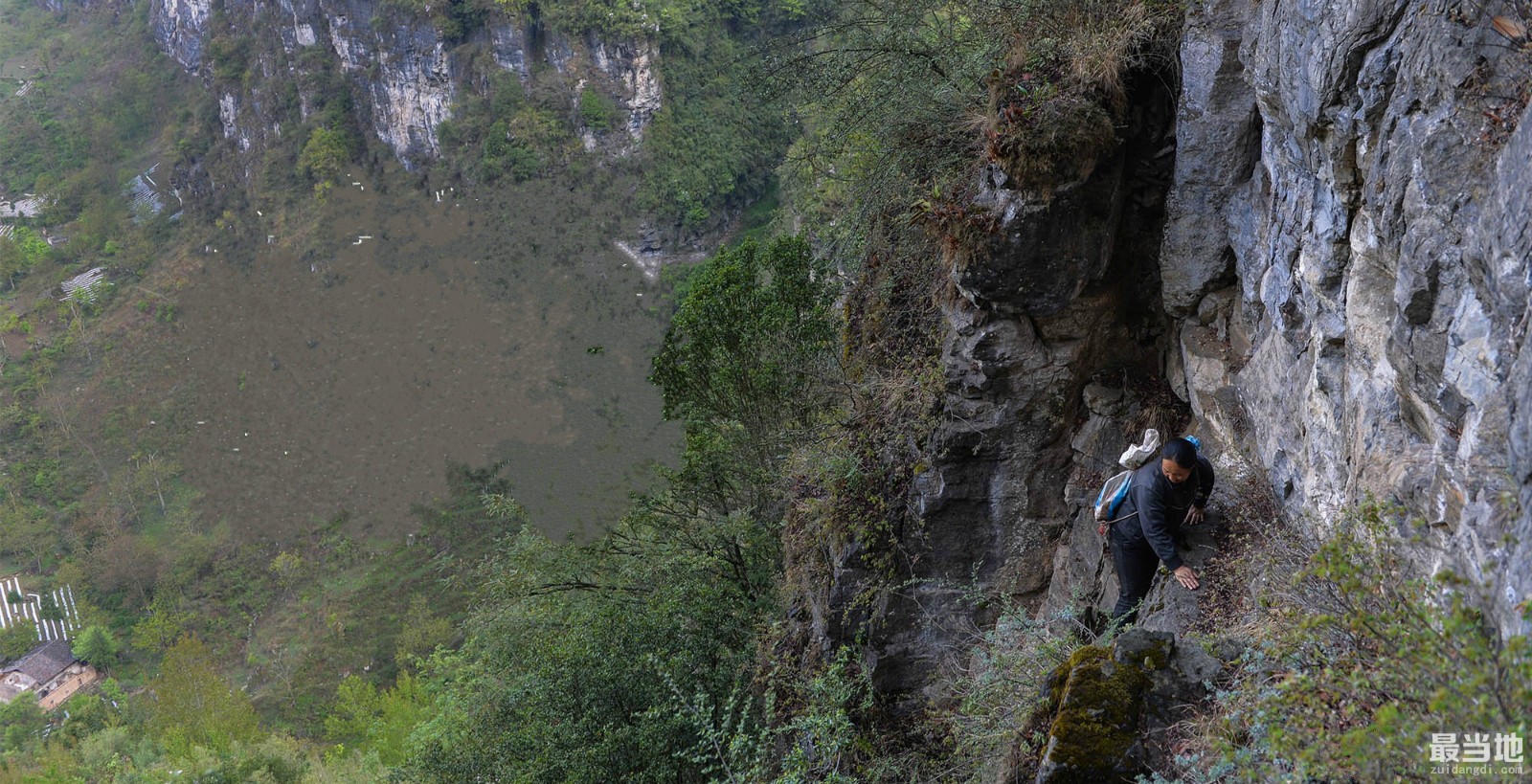 直击山区村民为了生活采摘燕窝，冒着生命危险翻越悬崖峭壁-5.jpg