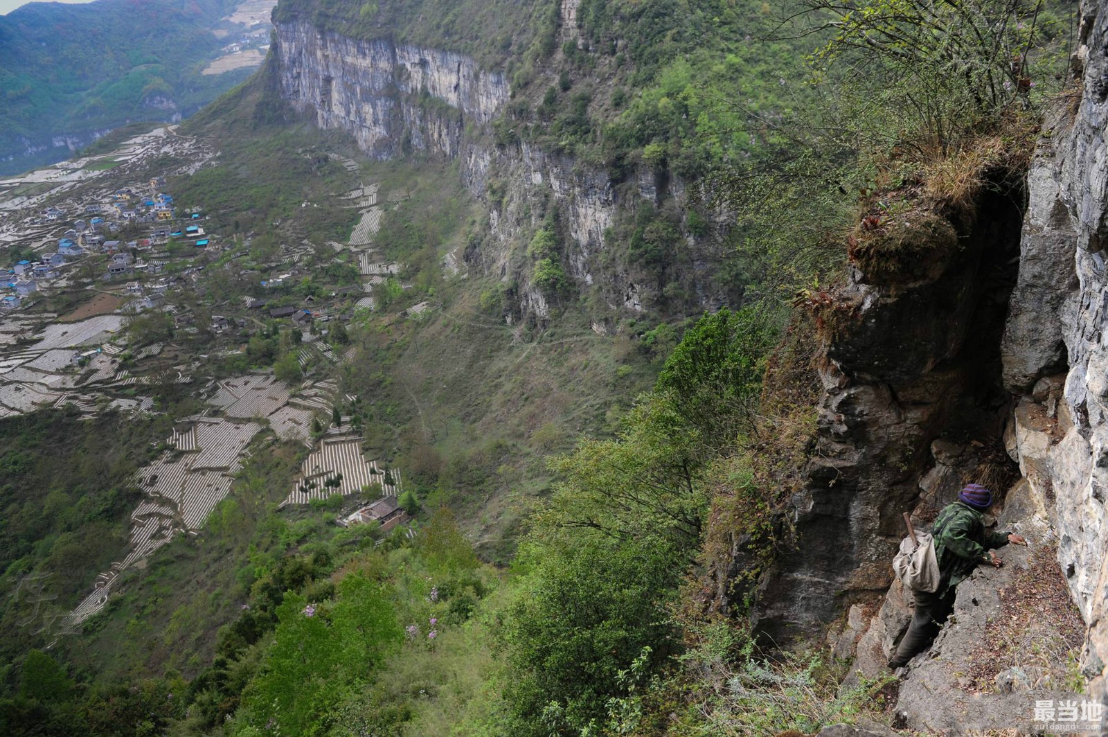 直击山区村民为了生活采摘燕窝，冒着生命危险翻越悬崖峭壁-4.jpg