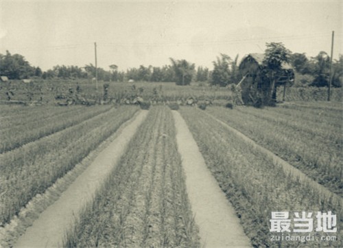 老照片：直击1931年时期的广州河南岛珍贵照-8.jpg
