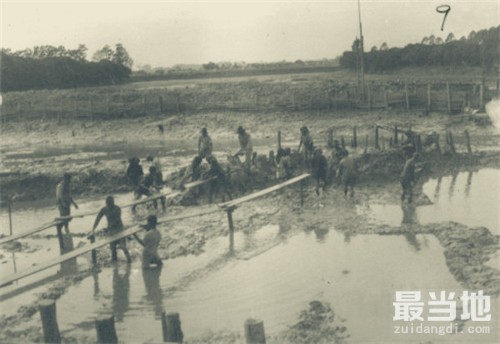 老照片：直击1931年时期的广州河南岛珍贵照-5.jpg