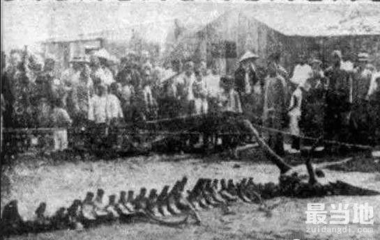 1934年中国出现过龙的真身，骨架却有可能被日本运走-2.jpg