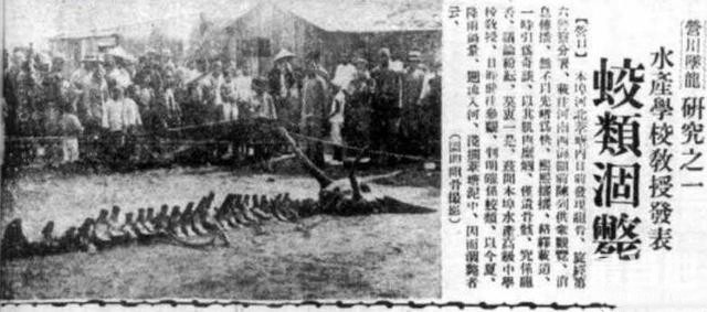 1934年中国出现过龙的真身，骨架却有可能被日本运走-1.jpg