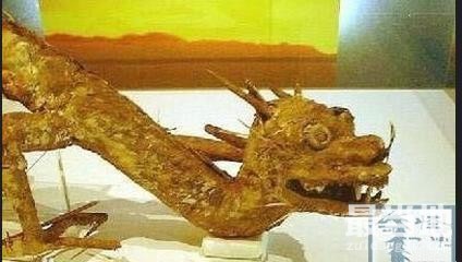 1934年中国出现过龙的真身，骨架却有可能被日本运走-6.jpg