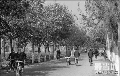 老照片：那时候路口很少有红绿灯 故宫门票很便宜-3.jpg