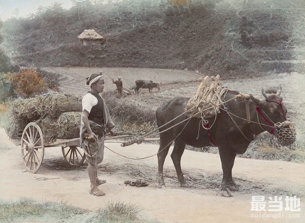 老照片：明治维新时期的日本生活，亚洲第一个走向工业化的国家-4.jpg