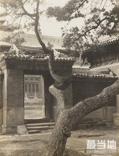 老照片：1940年左右，河北省承德普宁寺（大佛寺）-2.jpg