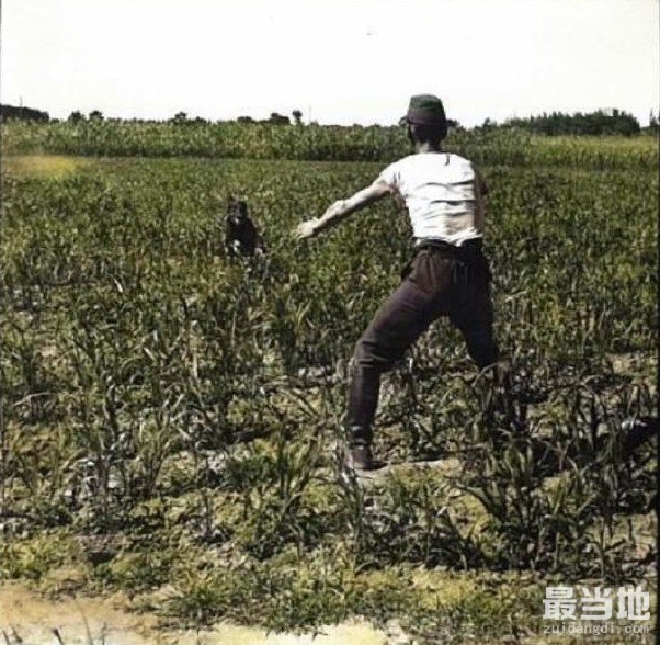 老照片：1940年左右，侵华日军在中华大地上训练警备犬-2.jpg