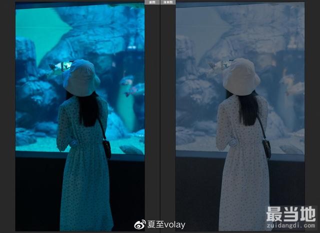 水族馆打卡攻略，轻松打造夏日清凉感-5.jpg
