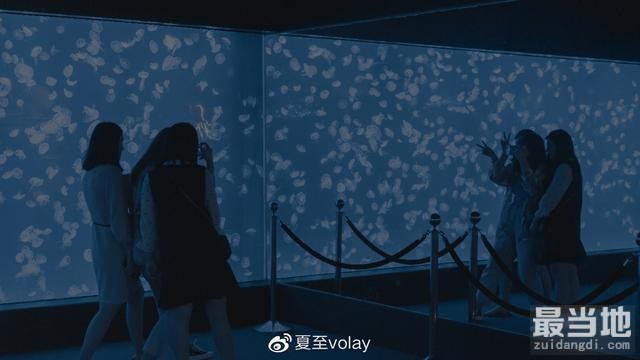 水族馆打卡攻略，轻松打造夏日清凉感-1.jpg