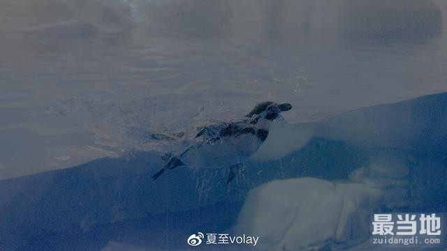 水族馆打卡攻略，轻松打造夏日清凉感-2.jpg