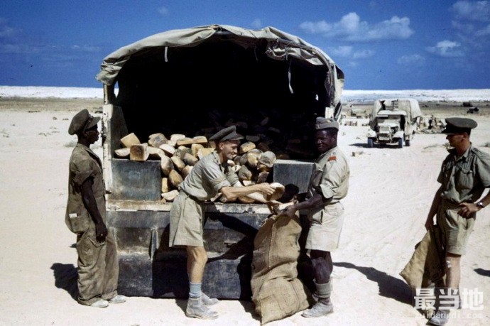 二战旧影：1942年阿拉曼战役期间的英国军队-5.jpg