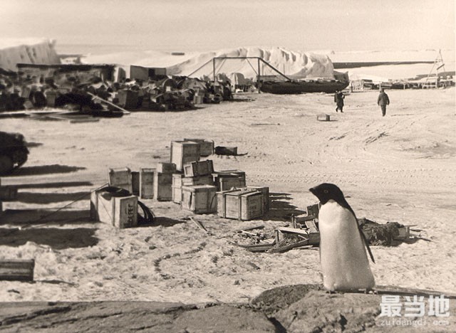 老照片：1955年苏联科学考察队第一次考察南极旧影-12.jpg
