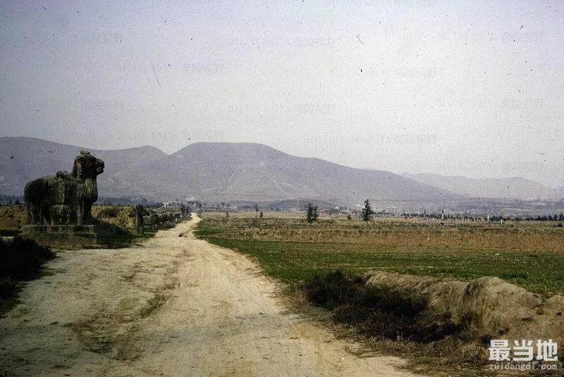 陕西省渭南市蒲城县老照片，外国人拍摄1988年的唐睿宗李旦桥陵-2.jpg