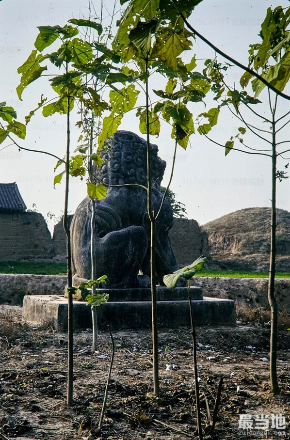 陕西省渭南市蒲城县老照片，外国人拍摄1988年的唐睿宗李旦桥陵-10.jpg