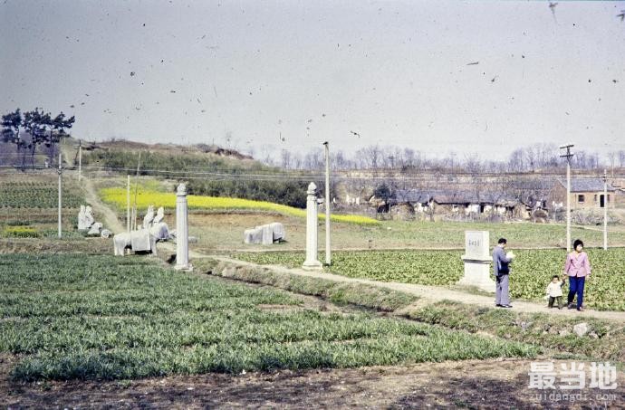 南京市玄武区老照片，拍摄于1981年的明初功臣岐阳王李文忠墓-1.jpg