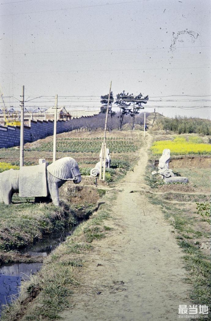 南京市玄武区老照片，拍摄于1981年的明初功臣岐阳王李文忠墓-8.jpg