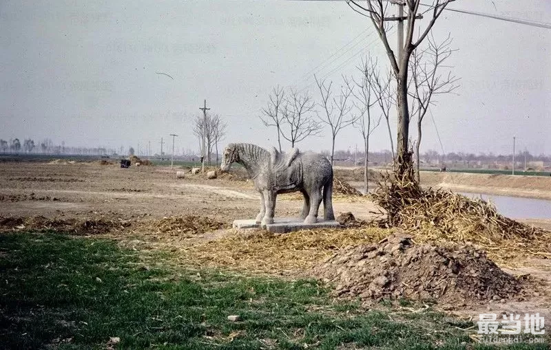 咸阳市老照片：外国人拍摄1981年的顺陵，武则天母亲杨氏陵冢-7.jpg