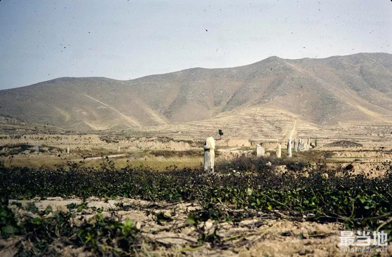 陕西省渭南市蒲城县老照片，外国人拍摄1988年的唐玄宗李隆基泰陵-1.jpg
