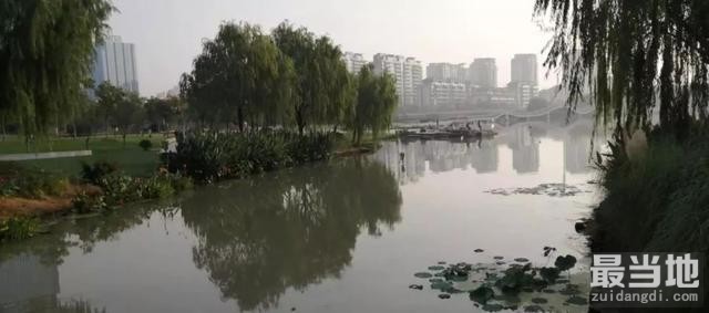 这天，天干物燥啊，加点湿，就好。。。-1.jpg