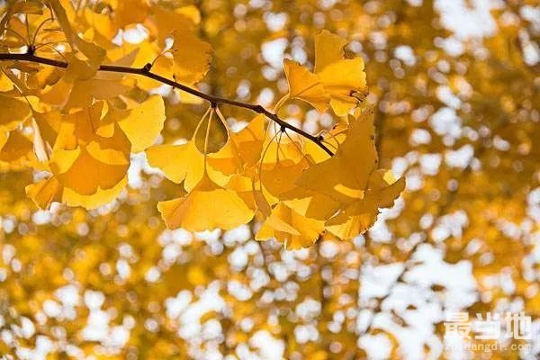 有人@你 嘉兴国际马拉松天气看过来-4.jpg