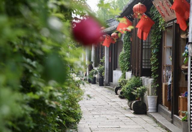 江苏无锡有个地方被誉为“小苏州”，人少景美，没有太多游客-4.jpg