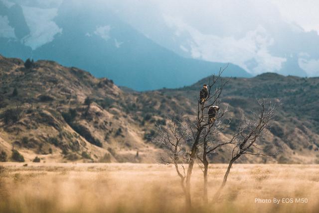 爆款微单EOS M50记录百内国家公园-5.jpg