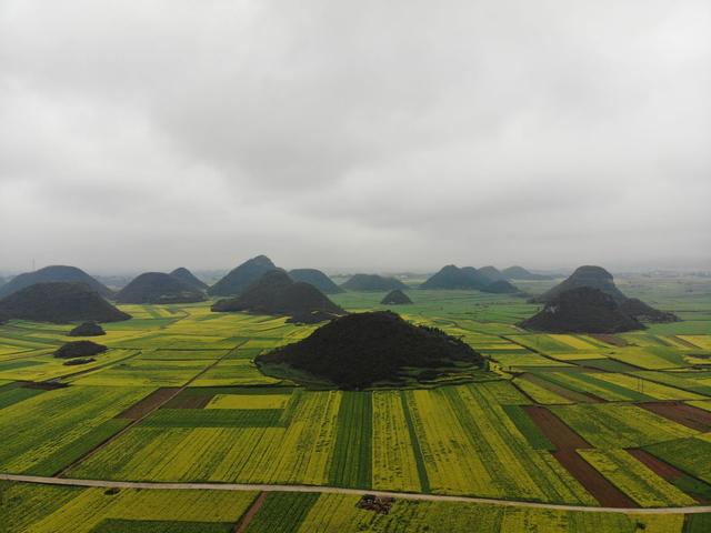 云南最被忽略的地方，春节刚过，这里的100万亩油菜花即将美如画-2.jpg
