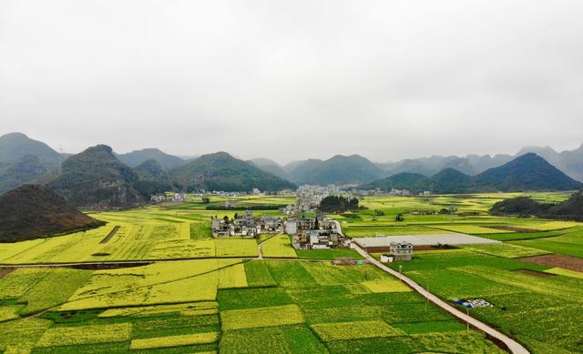 云南最被忽略的地方，春节刚过，这里的100万亩油菜花即将美如画-3.jpg