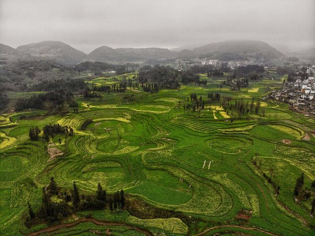 云南最被忽略的地方，春节刚过，这里的100万亩油菜花即将美如画-5.jpg